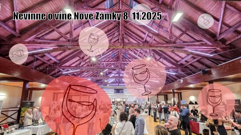 NZ 08 11 25 odkaz s textom